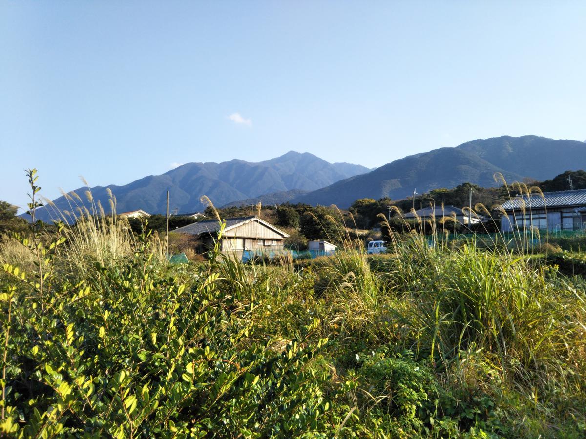 Cottage Yakusugi House Jakusima Kültér fotó