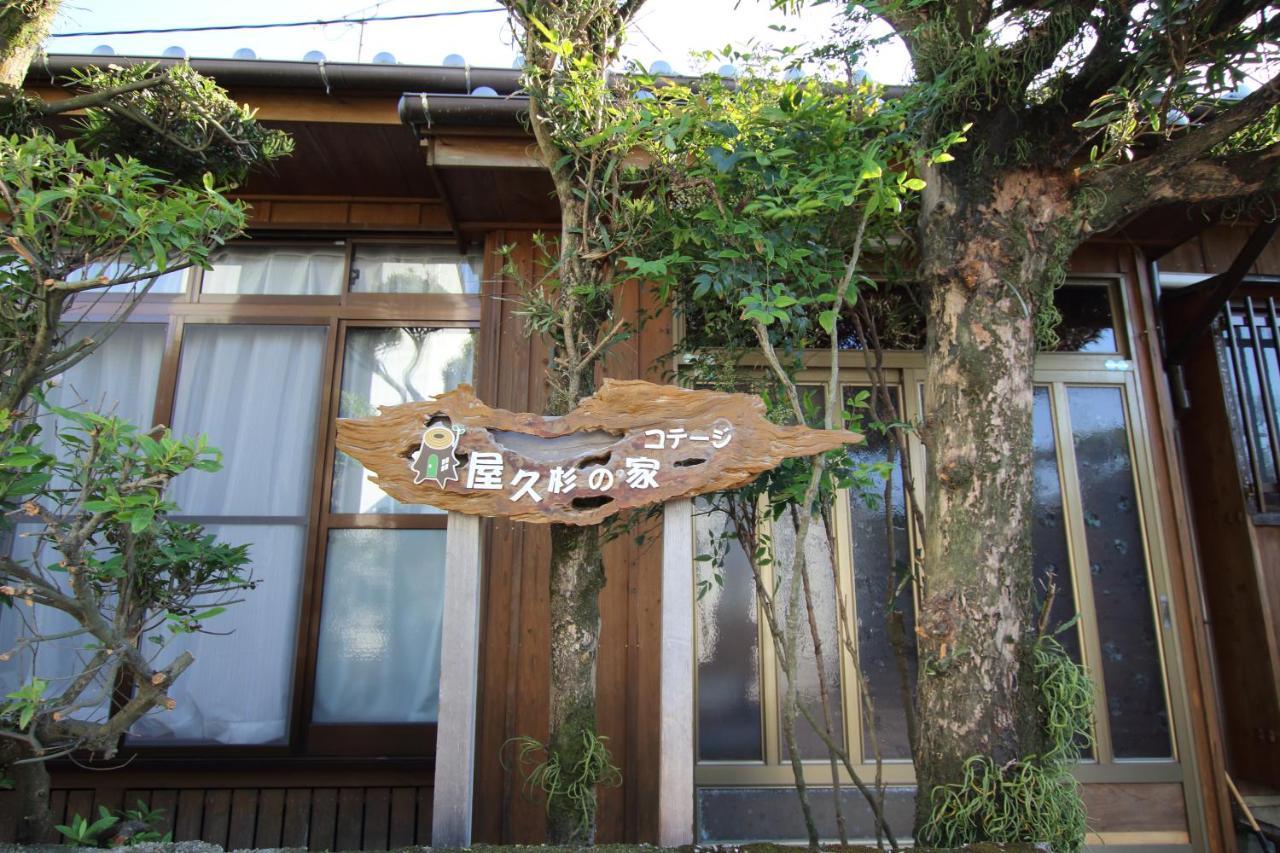 Cottage Yakusugi House Jakusima Kültér fotó